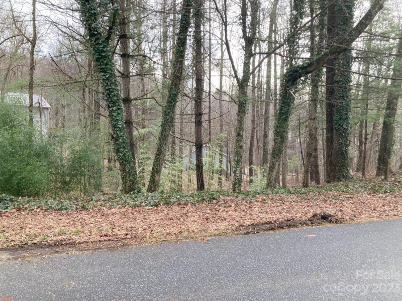 Property image 5 at 0 Summer Savory Court, Flat Rock, NC 28731