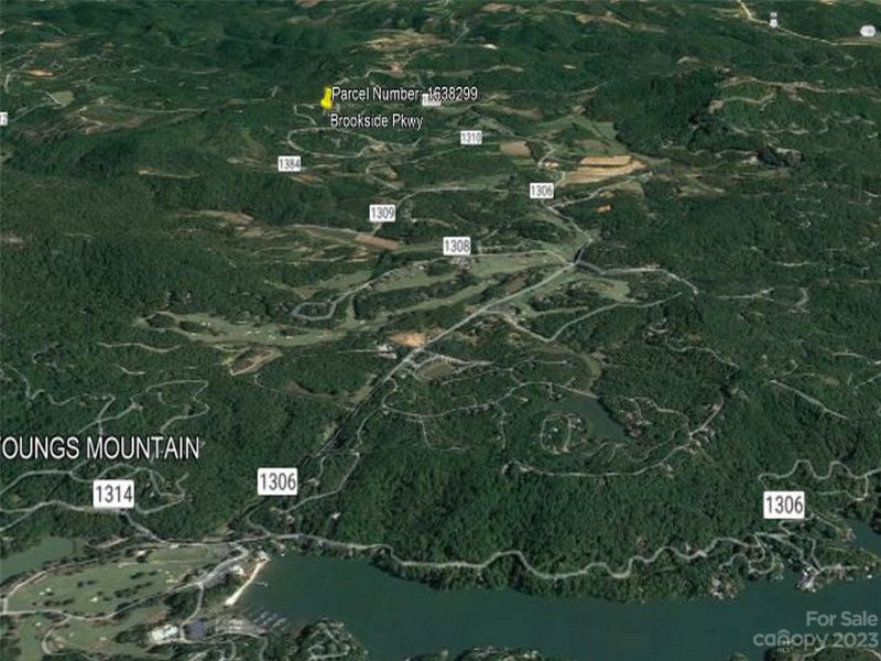 Property image 3 at 0 Brookside Parkway, Lake Lure, NC 28746