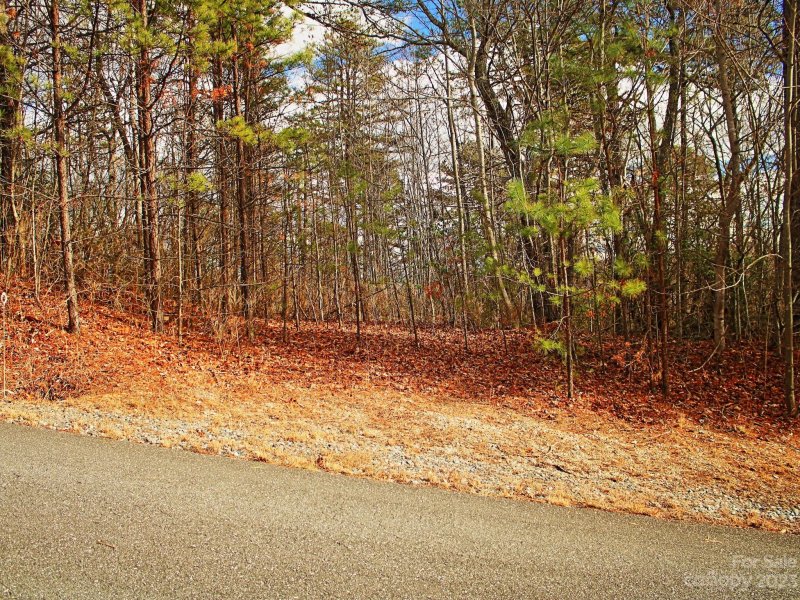 Property image 3 at 00000 Mountain Crest Drive, Marion, NC 28752