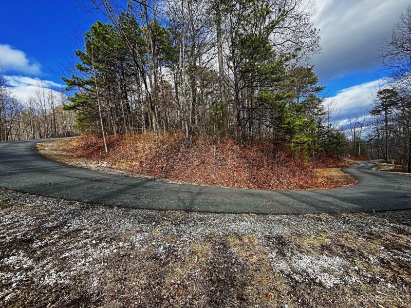 Property image 4 at 00000 Mountain Crest Drive, Marion, NC 28752