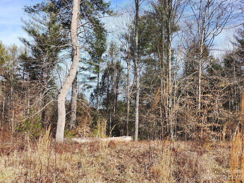 Property image 5 of 1144 Lakeside Way in Waterside, Valdese, NC 28690