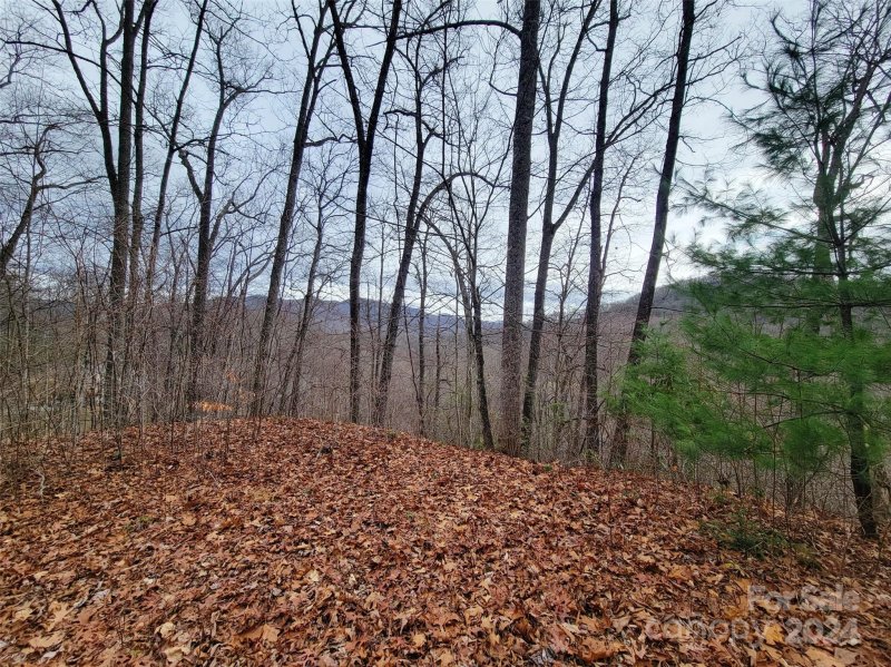 Property image 2 at 223 Boomer Run Drive, Waynesville, NC 28785