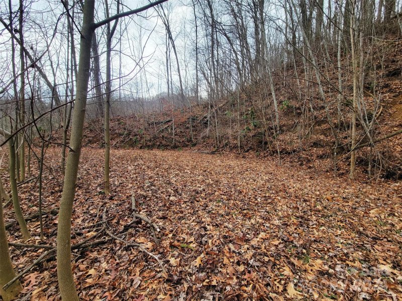 Property image 4 at 223 Boomer Run Drive, Waynesville, NC 28785