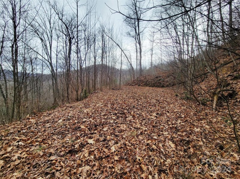 Property image 5 at 223 Boomer Run Drive, Waynesville, NC 28785