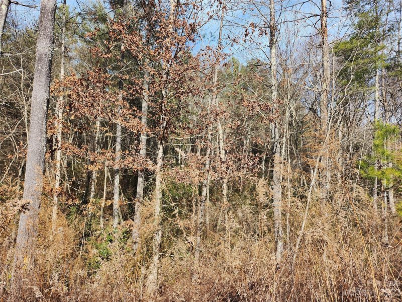 Property image 3 at 3277 Peninsula Pointe Drive, Valdese, NC 28690