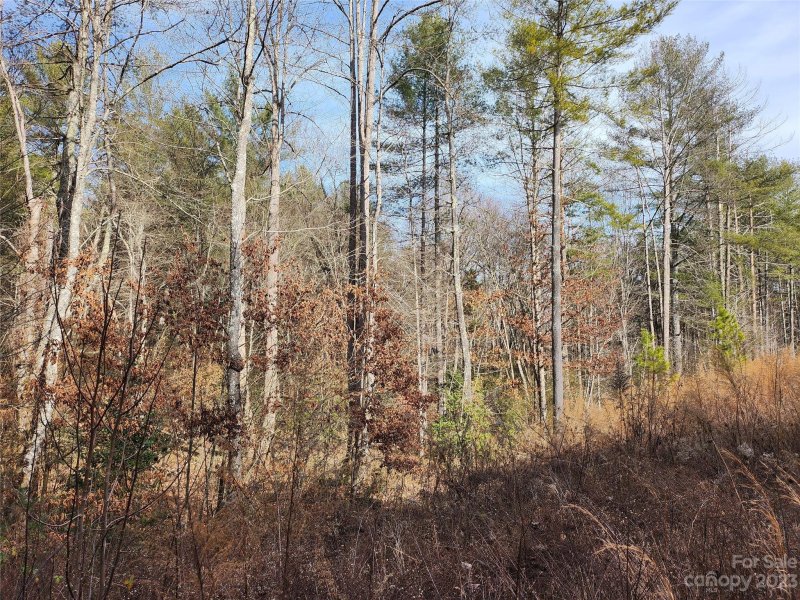 Property image 5 at 3277 Peninsula Pointe Drive, Valdese, NC 28690