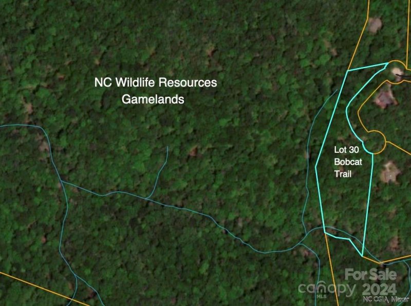 Property image 2 at Lot 30 Bobcat Trail, Saluda, NC 28773
