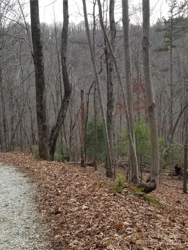 Property image 3 at Lot 30 Bobcat Trail, Saluda, NC 28773