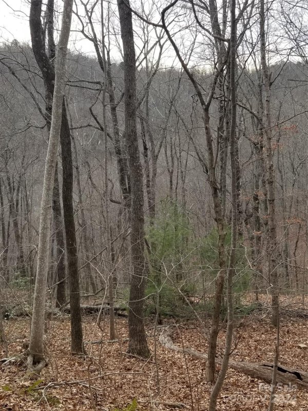 Property image 4 at Lot 30 Bobcat Trail, Saluda, NC 28773