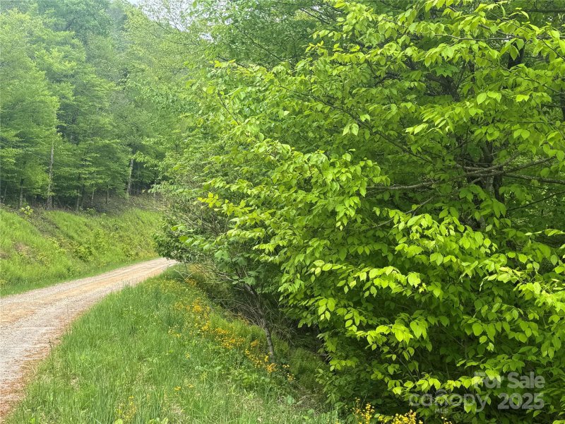 Property image 3 of 22 Zebulon Lane in Wolf Laurel, Mars Hill, NC 28754