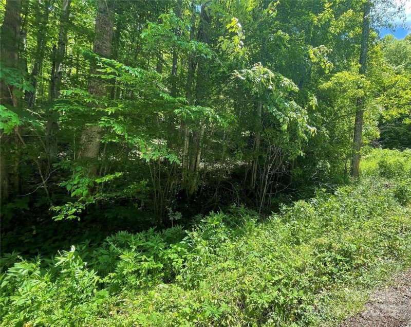 Property image 4 of 22 Zebulon Lane in Wolf Laurel, Mars Hill, NC 28754