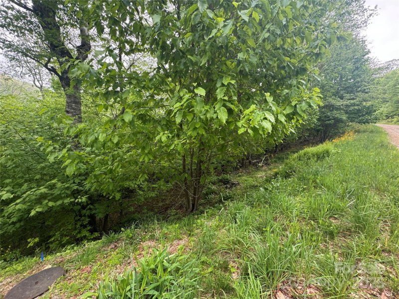 Property image 5 of 22 Zebulon Lane in Wolf Laurel, Mars Hill, NC 28754