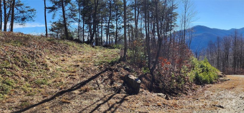 Property image 4 at 986 High View Drive, Canton, NC 28716