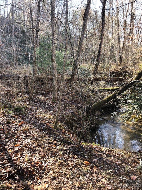 Property image 5 at 0 Island Creek Road, Lake Lure, NC 28746