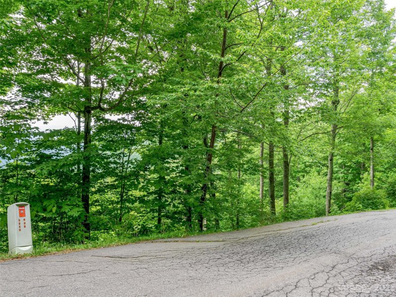 Property image 3 of Lot 27 Black Bear Run in The Preserve at Wolf Laurel, Mars Hill, NC 28754