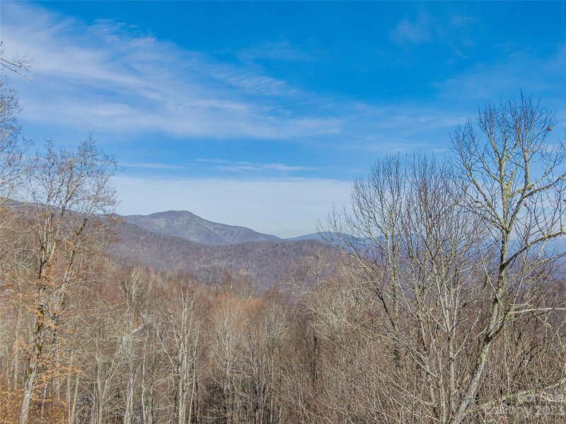 Property image 5 of Lot 42 Black Bear Run in The Preserve at Wolf Laurel, Mars Hill, NC 28754