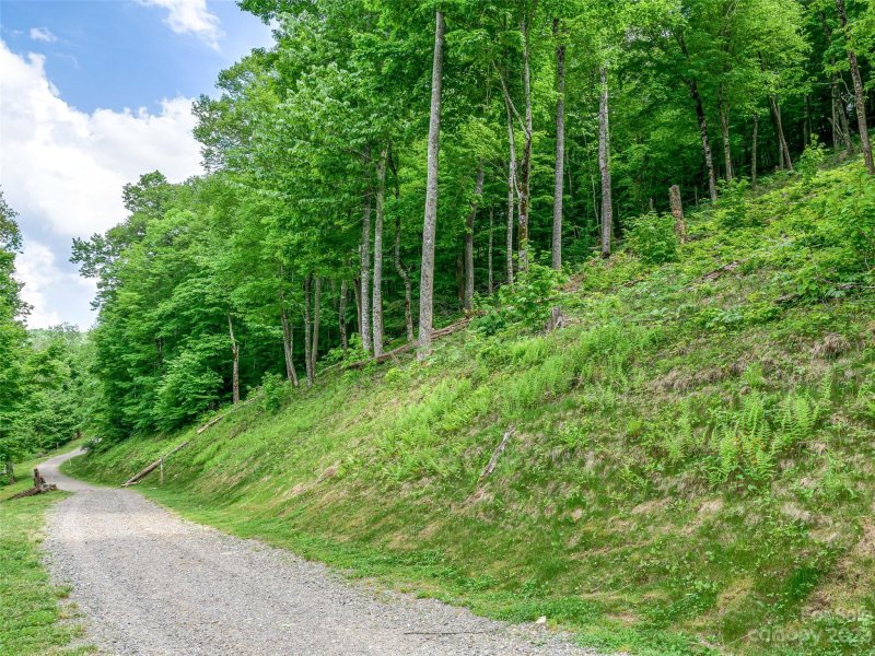 Property image 5 at Lot 17 Mountain Gait Drive, Mars Hill, NC 28754