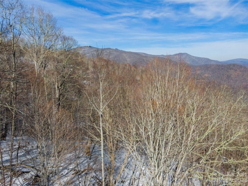 Property image 5 of Lot 45 Black Bear Run in The Preserve at Wolf Laurel, Mars Hill, NC 28754