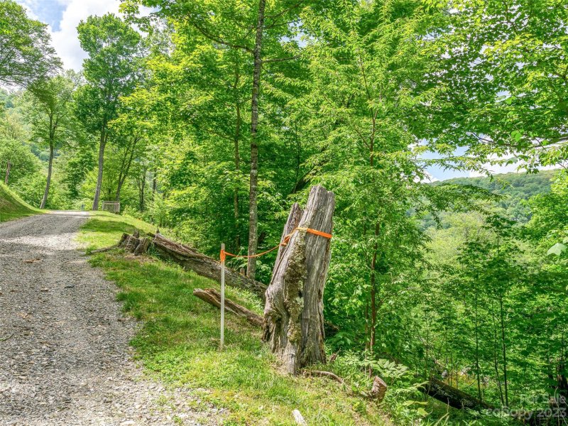 Property image 5 of Lot 9 Mountain Gait Drive in The Preserve at Wolf Laurel, Mars Hill, NC 28754