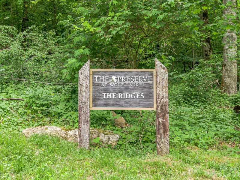 Property image 5 of Lot 11 Settlement Way in The Preserve at Wolf Laurel, Mars Hill, NC 28754