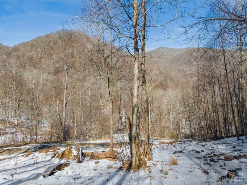 Property image 5 of Lot 6 Settlement Way in The Preserve at Wolf Laurel, Mars Hill, NC 28754