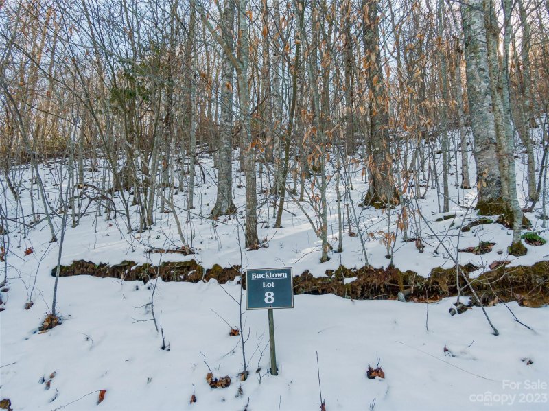 Property image 2 of Lot 8 Settlement Way in The Preserve at Wolf Laurel, Mars Hill, NC 28754