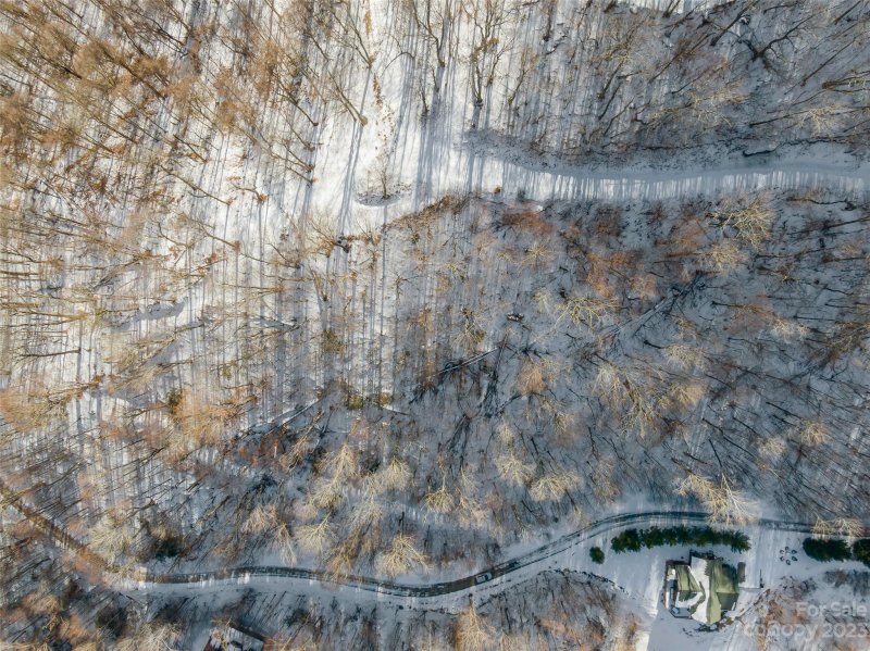 Property image 3 of Lot 8 Settlement Way in The Preserve at Wolf Laurel, Mars Hill, NC 28754