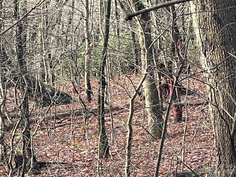 Property image 2 at 0 Hickory Acres Road, Hendersonville, NC 28792