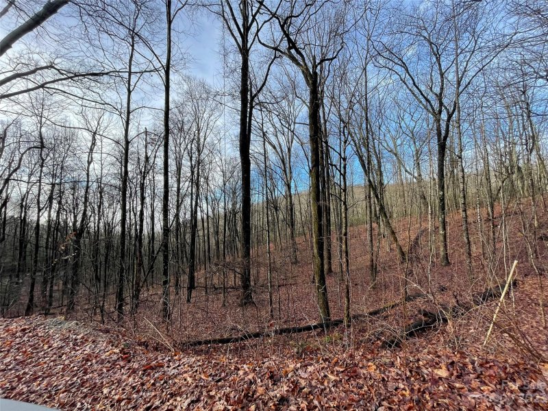 Property image 4 at 0 Hickory Acres Road, Hendersonville, NC 28792