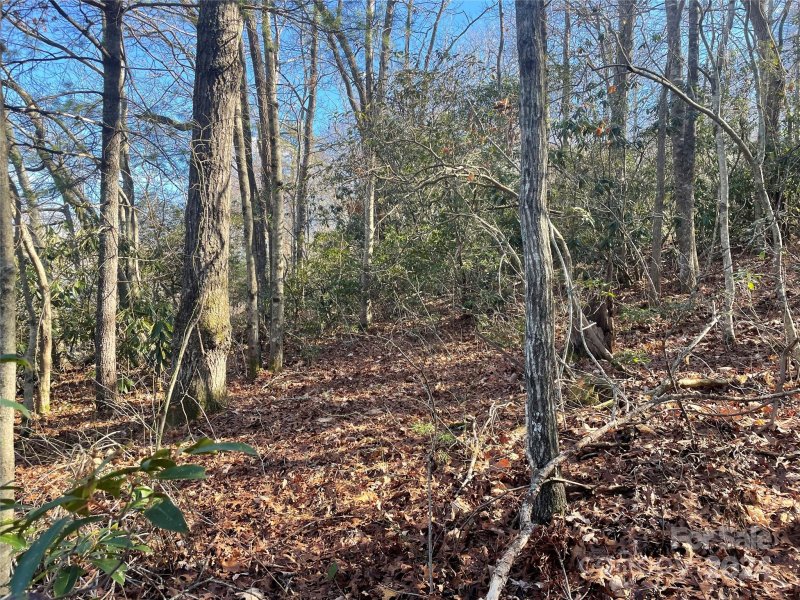 Property image 4 of 146 Center Street in Ridgecrest, Black Mountain, NC 28711