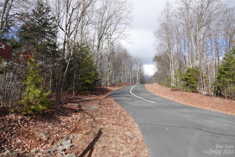 Property image 3 of 79 Longview Trail in The Summit, Bostic, NC 28018