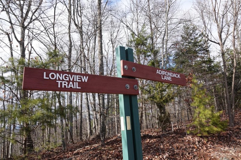 Property image 4 of 79 Longview Trail in The Summit, Bostic, NC 28018