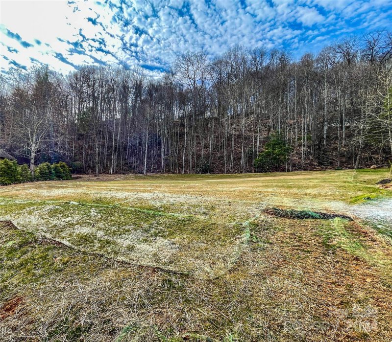 Property image 2 at 146 Glen Eagles Lane, Mills River, NC 28759