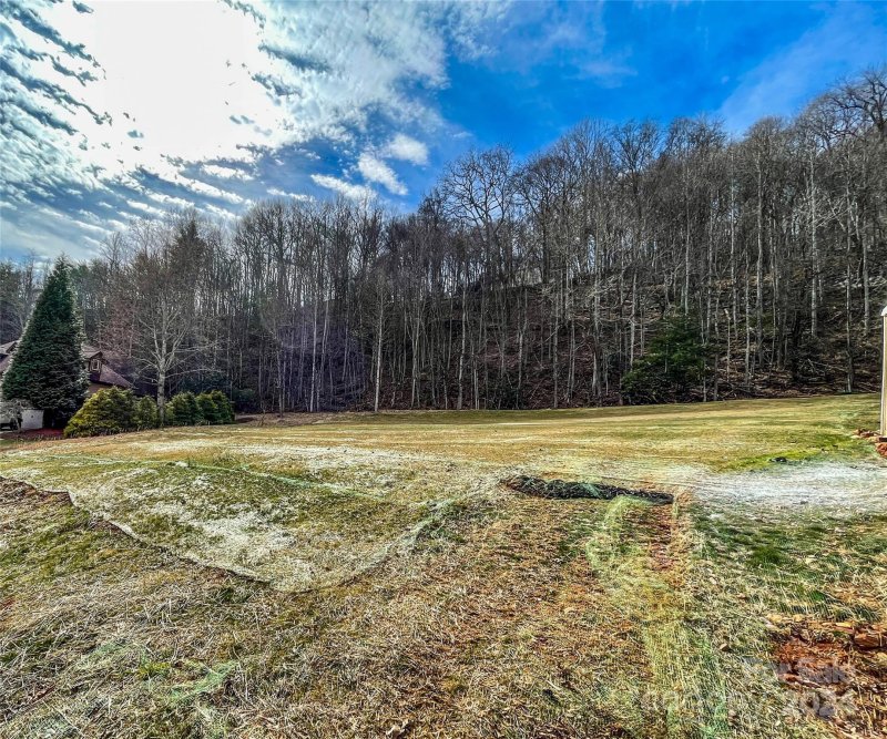 Property image 3 at 146 Glen Eagles Lane, Mills River, NC 28759