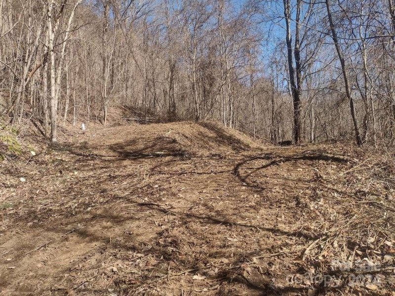 Property image 2 at 384 Live Oak Loop, Waynesville, NC 28785