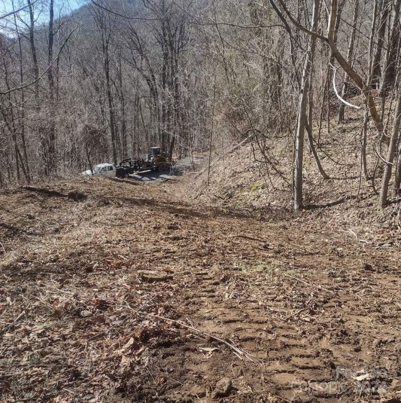 Property image 4 at 384 Live Oak Loop, Waynesville, NC 28785