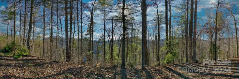 82 Bear River Lodge Trail