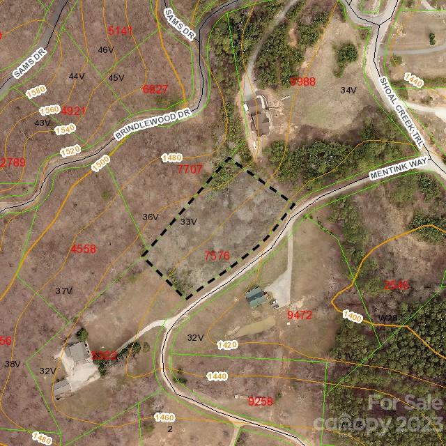 Property image 4 of 9999 Mentink Way in Hidden Lake, Nebo, NC 28761