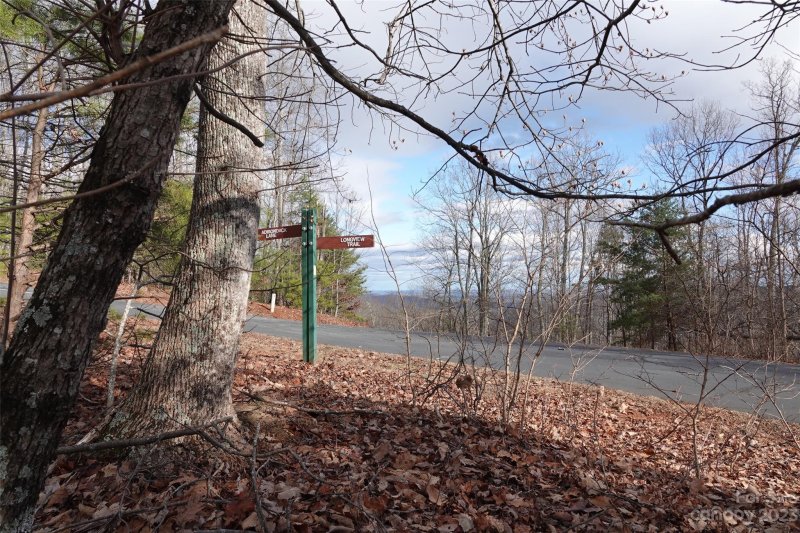 Property image 3 at 82 Longview Trail, Bostic, NC 28018