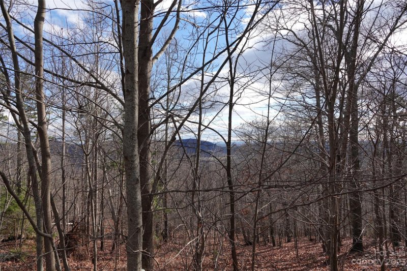 Property image 5 at 82 Longview Trail, Bostic, NC 28018