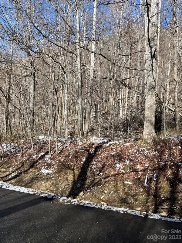 Property image 4 at 49 Wedgewood Terrace, Black Mountain, NC 28711