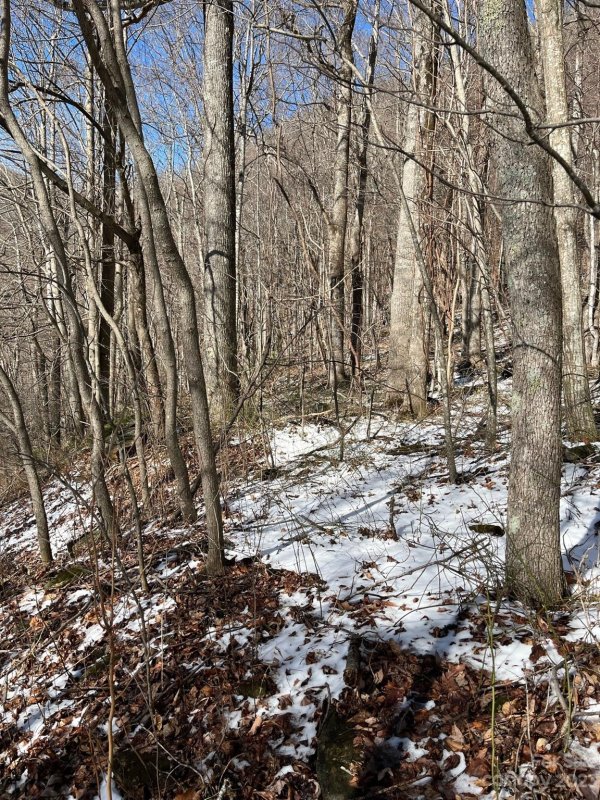 Property image 5 at 49 Wedgewood Terrace, Black Mountain, NC 28711