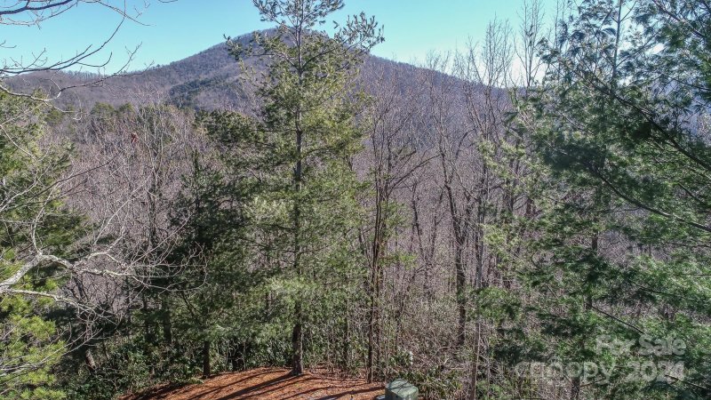 Property image 2 at 82 Davey Crockett Road, Fairview, NC 28730
