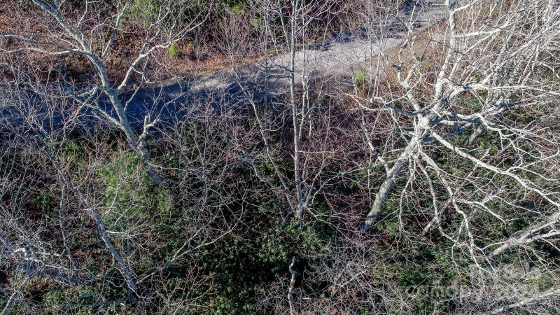 Property image 3 at 82 Davey Crockett Road, Fairview, NC 28730