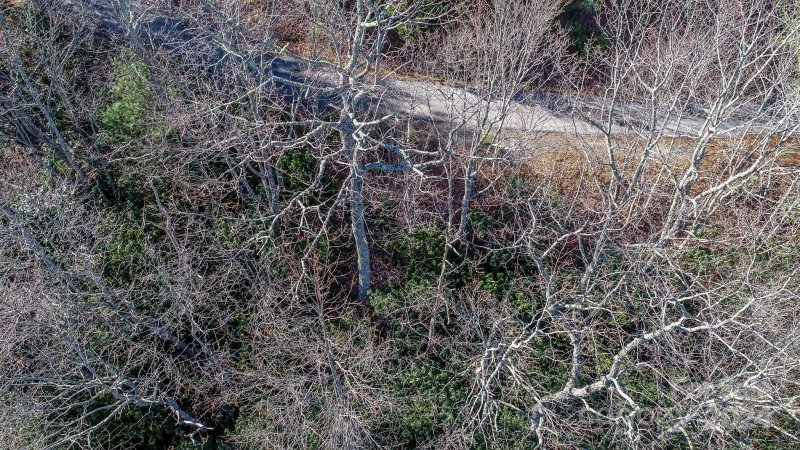 Property image 4 at 82 Davey Crockett Road, Fairview, NC 28730