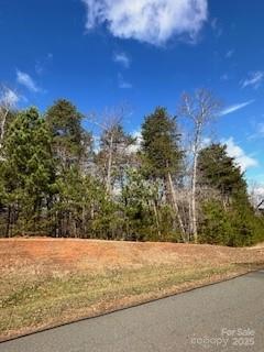 Property image 4 at 10525 Green Heron Court, Charlotte, NC 28278