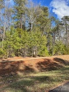 Property image 5 at 10525 Green Heron Court, Charlotte, NC 28278