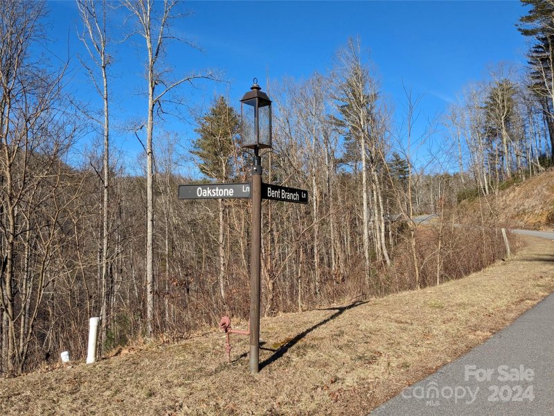 Property image 5 of 27 Bent Branch Lane in Ventana, Asheville, NC 28804