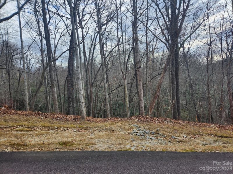 Property image 3 of 145 Ivywood Lane in Somersby Park, Laurel Park, NC 28739