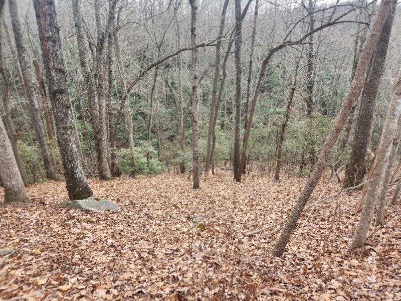 Property image 4 of 145 Ivywood Lane in Somersby Park, Laurel Park, NC 28739